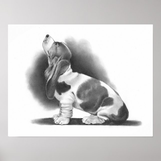 BASSET HOUND POSTER: PENCIL REALISM ART POSTER (Vorne)