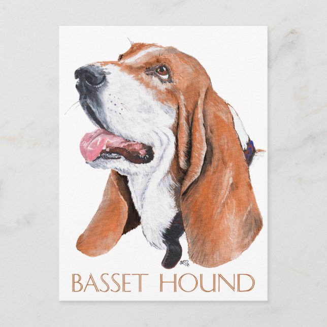 Basset Hound Postkarte (Vorderseite)