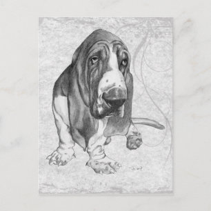 Basset Hound Postkarte