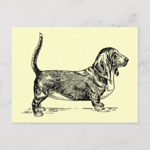 Basset_Hound Postkarte