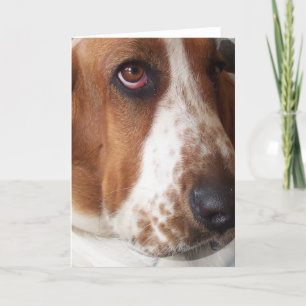 Basset Hound Puppy Grußkarte Karte