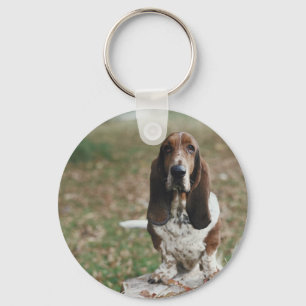 Basset Hound Schlüsselanhänger