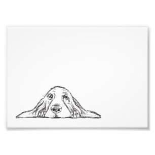 Basset Hound schwarz weiß einfache Welpenaugen Fotodruck