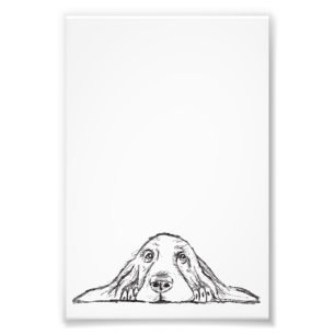Basset Hound schwarz weiß einfache Welpenaugen Fotodruck