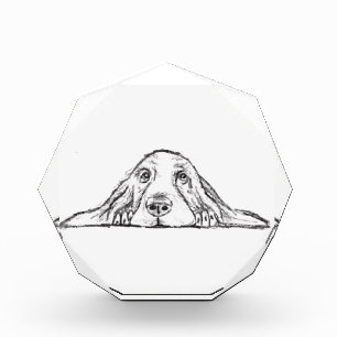 Basset Hound schwarz weiß einfaches Hundewelpen Au Fotoblock