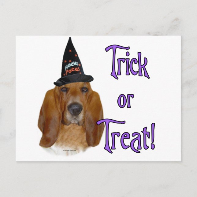 Basset Hound Trick Postkarte (Vorderseite)