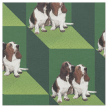 Basset Hound über grüne Kuben