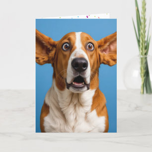 Basset Hound überrascht Geburtstag Karte
