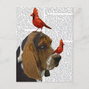 Basset Hound und Vögel Postkarte