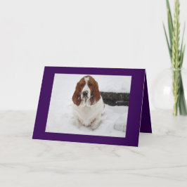 Basset Hound vermisst Sie Grußkarte. Karte