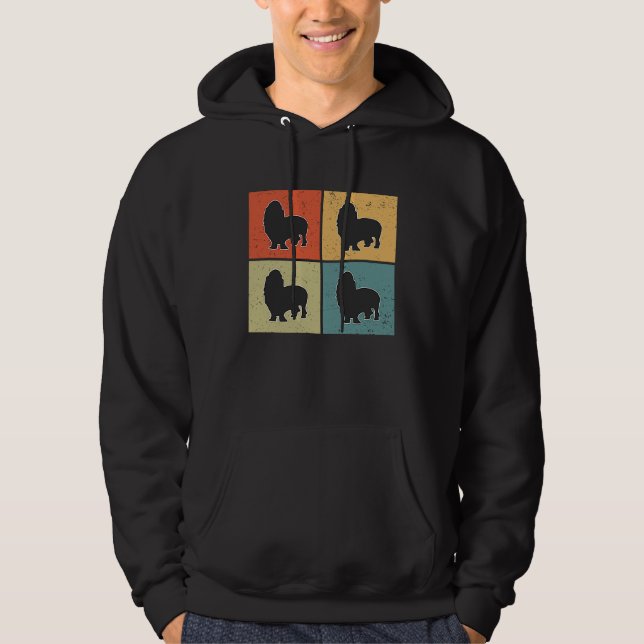Basset Hound Vintage  3 Hoodie (Vorderseite)