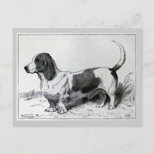 "Basset Hound" Vintage Hundeliste Postkarte
