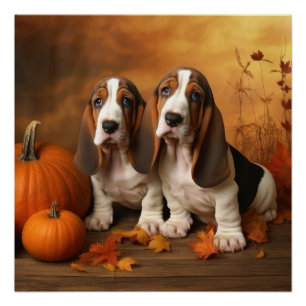 Basset Hound Welpe Herbst Delight Pumpen Poster