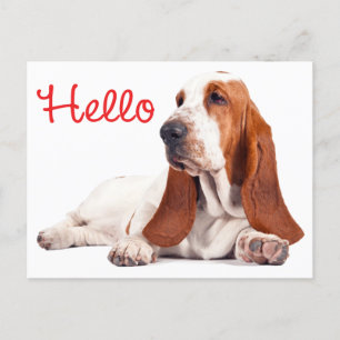 Basset Hound Welpe Hund Red Hallo Denken Sie an Si Postkarte