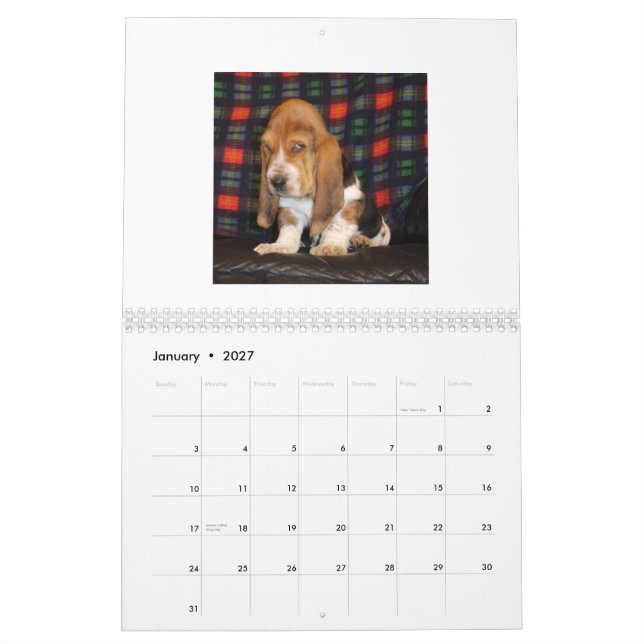 Basset Hound-Welpenkalender Kalender (Jan 2027)