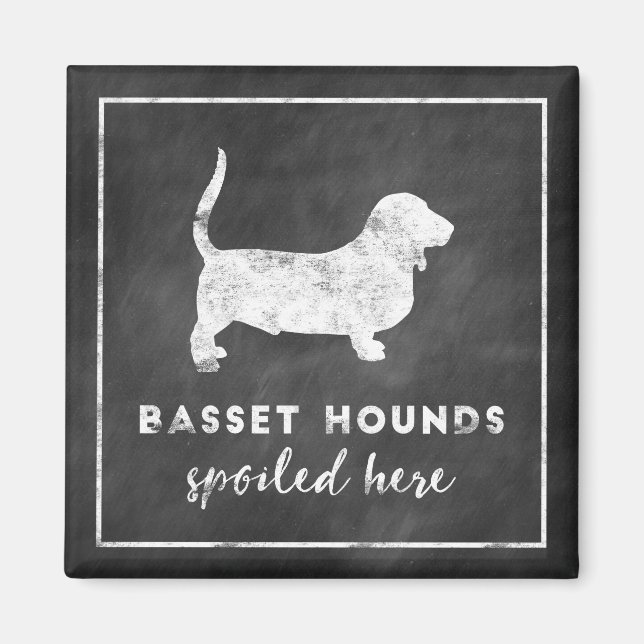 Basset Hounds hier Vintage Chalkboard verwöhnt Magnet (Vorne)