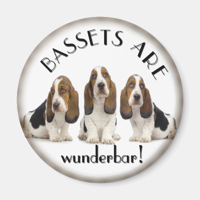 Basset Hounds Magnet (Vorne)