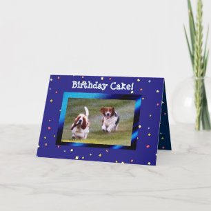 Basset Hounds on Funny Birthday Card w/Cake Karte