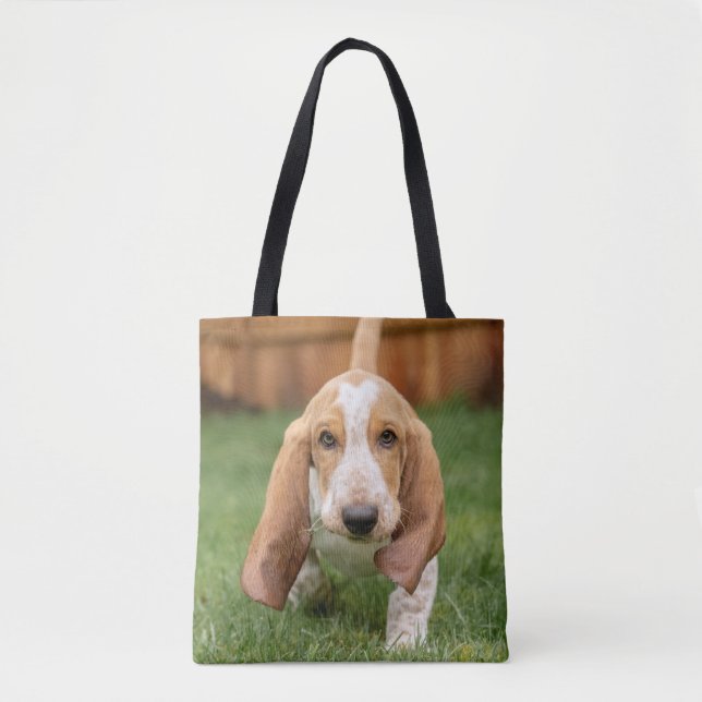 Basset Houng Welppy Walking (Vorderseite)