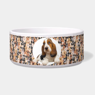 Basset-Hund personalisieren Foto & Name Hundeschal Napf