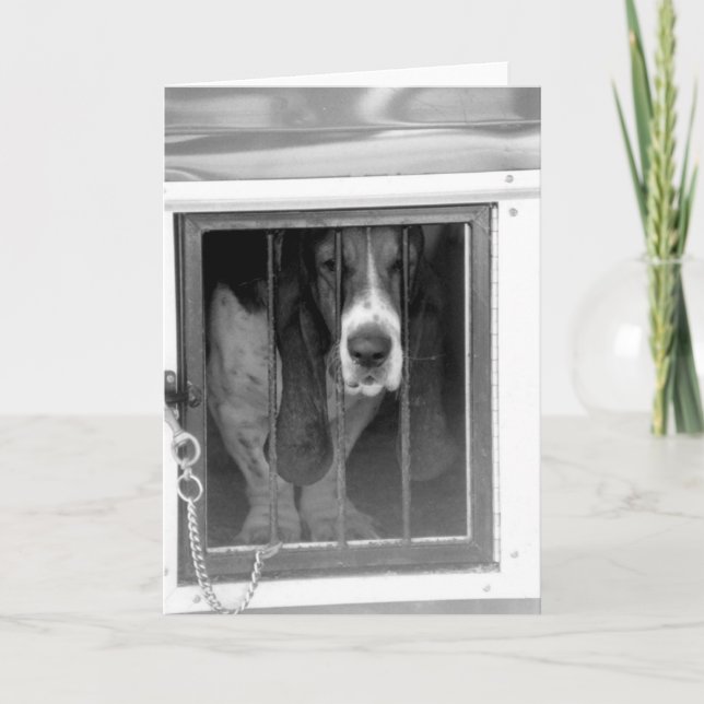 Basset-Hundegefängnis Karte (Vorderseite)