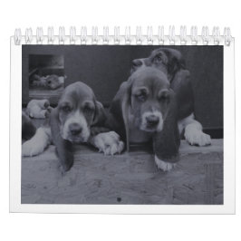 Basset-Hundekalender Kalender