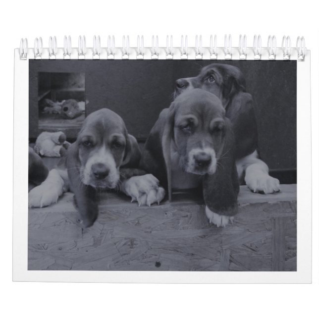 Basset-Hundekalender Kalender (Rückseite)