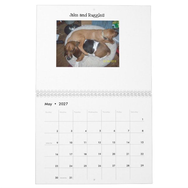 Basset-Hundekalender Kalender (Mai 2027)