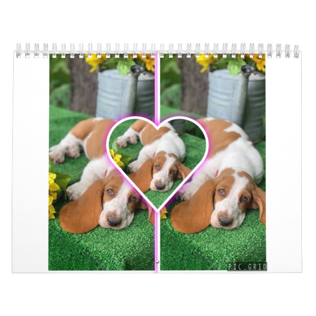 Basset-Hundekalender Kalender (Titelbild)