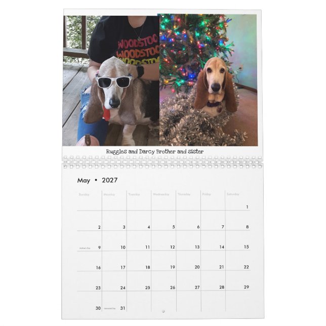 Basset-Hundekalender Kalender (Mai 2027)
