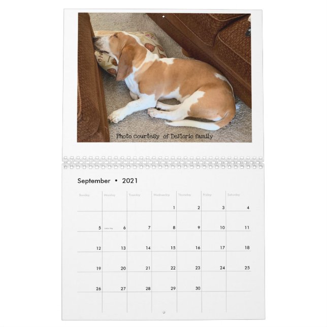 Basset-Hundekalender Kalender (Sep 2021)