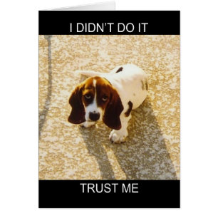 Basset-Jagdhund-Karten