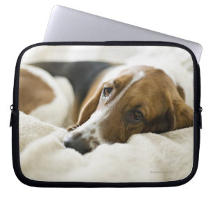 Basset-Jagdhund Laptopschutzhülle