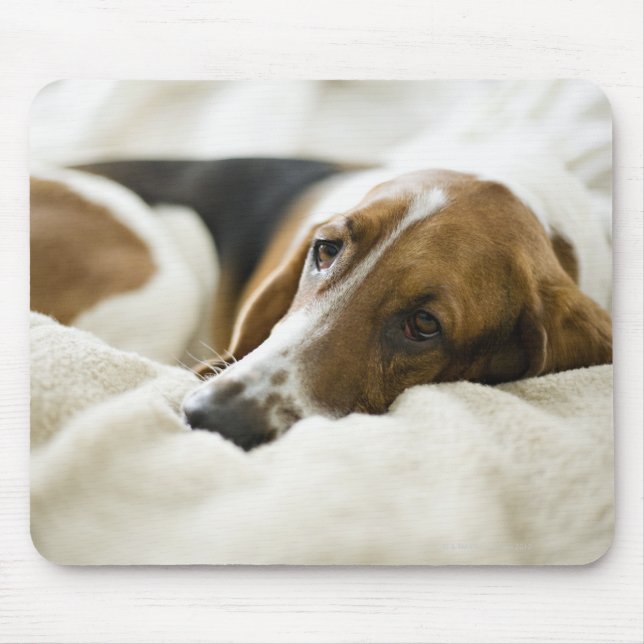 Basset-Jagdhund Mousepad (Vorne)