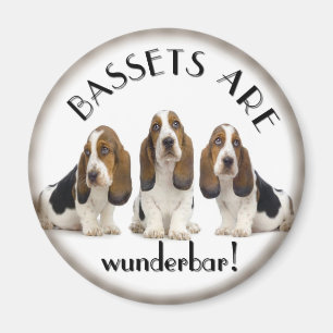 Basset Magnet