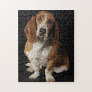 Basset Puzzle