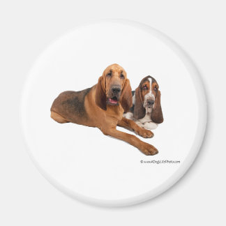 Basset und Bloodhound Buddies Magnet