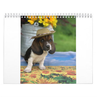 Bassetkalender, der kleines E kennzeichnet Kalender