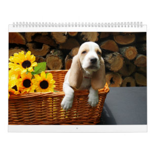 Bassetkalender Kalender