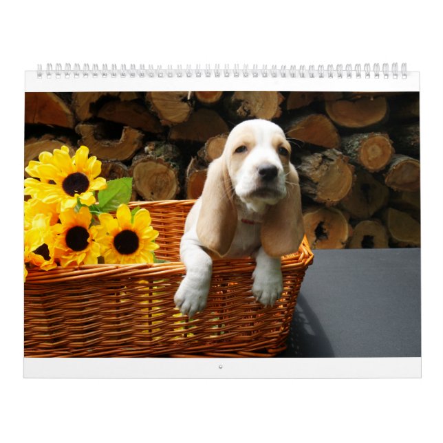 Bassetkalender Kalender (Titelbild)