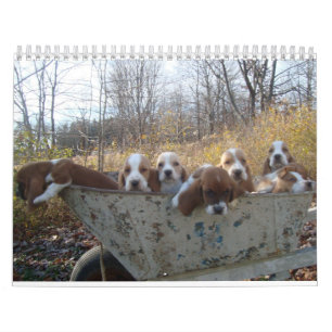 Bassetwelpenkalender 2019 kalender