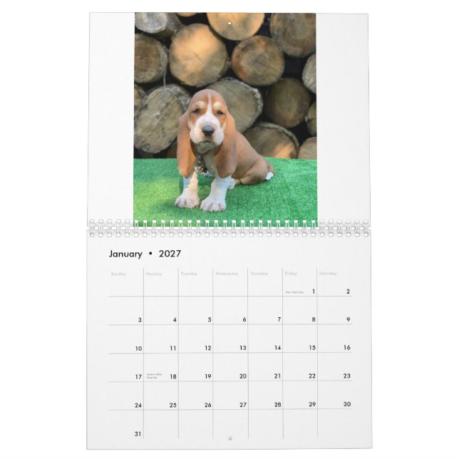 Bassetwelpenkalender Kalender (Jan 2027)