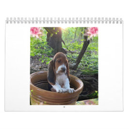 Bassetwelpenkalender Kalender