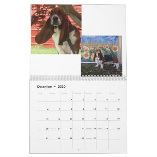 Bassetwelpenkalender Kalender