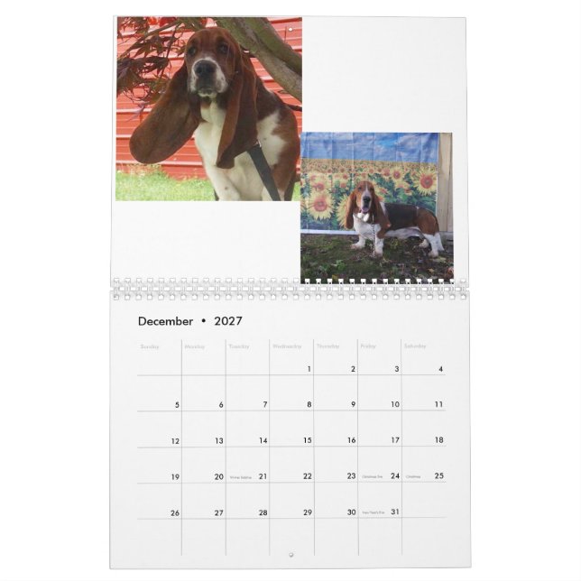 Bassetwelpenkalender Kalender (Dez 2027)