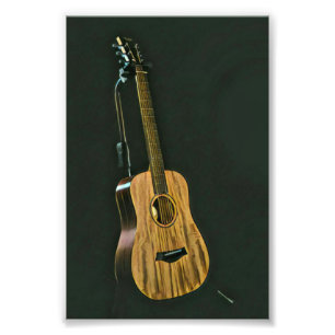 Bassgitarrist Fotodruck