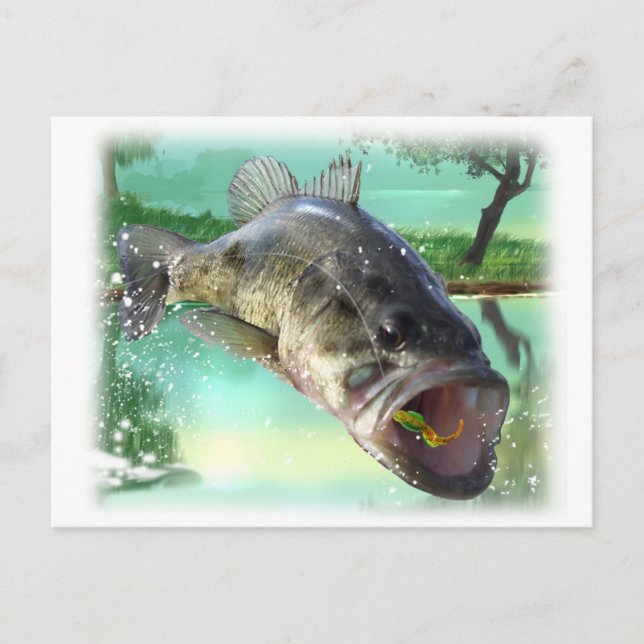 Bassgrün Postkarte (Vorderseite)