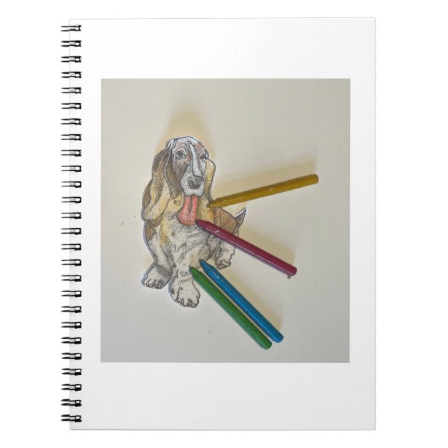 Bassie's Note Books Notizblock (Vorderseite)