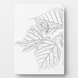 Basswood-Blätter Fotoplatte