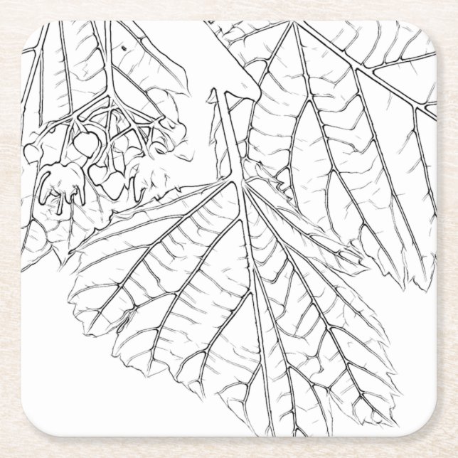 Basswood-Blätter Rechteckiger Pappuntersetzer (Vorderseite)